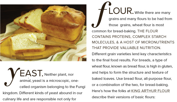 Flour and Yeast