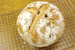 Olive Loaf Cooling