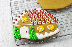 Decorated Cookies
