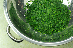 Spinach Draining