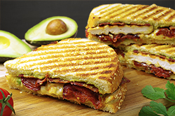 Chicken Bacon Melt Panini