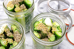 Filling Jars with Cukes