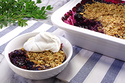 Blue Ribbon Blueberry Crisp