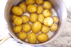 Boiling Potatoes