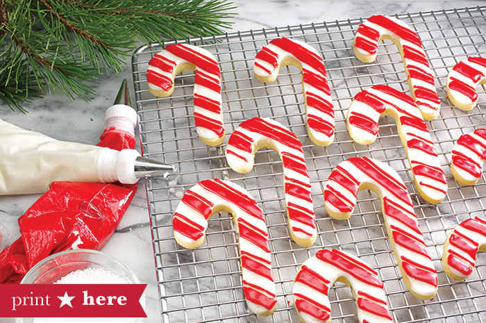 Peppermint Candy Cane Cookies