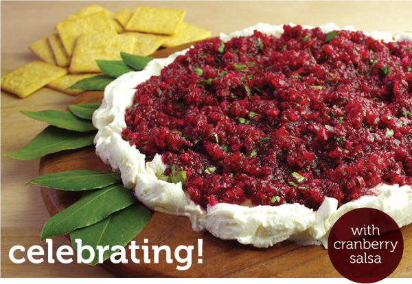 Celebrating Cranberry Salsa