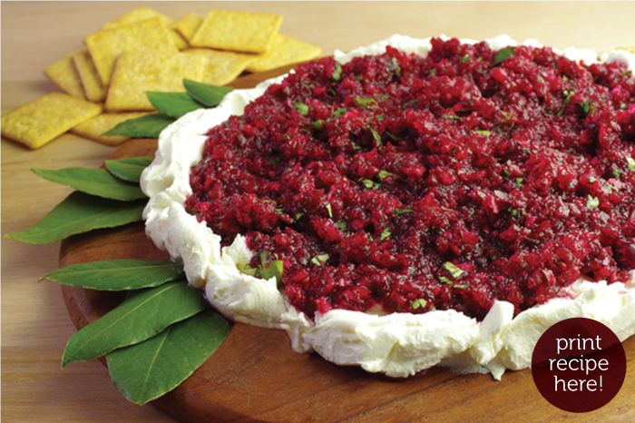 Cranberry Salsa