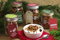 Cranberry-Pistachio Granola