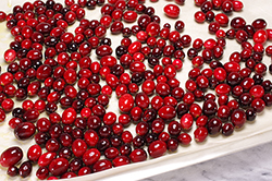 Cranberries Ready to Roast