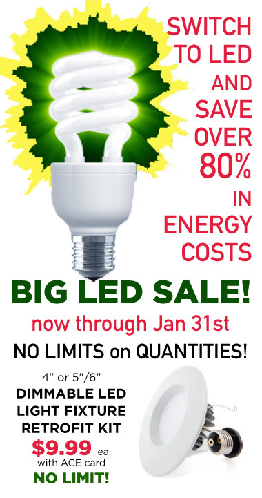 LED Bulb Sale