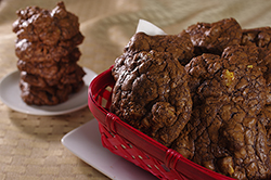 Gooey Double-Chocolate Mocha Cookies
