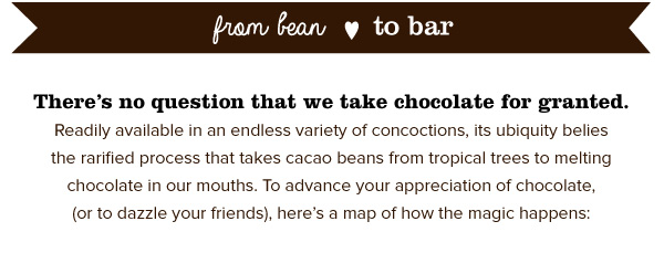 From Bean to Bar