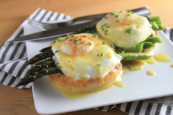 Asparagus Benedict