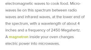 Microwave Cooking