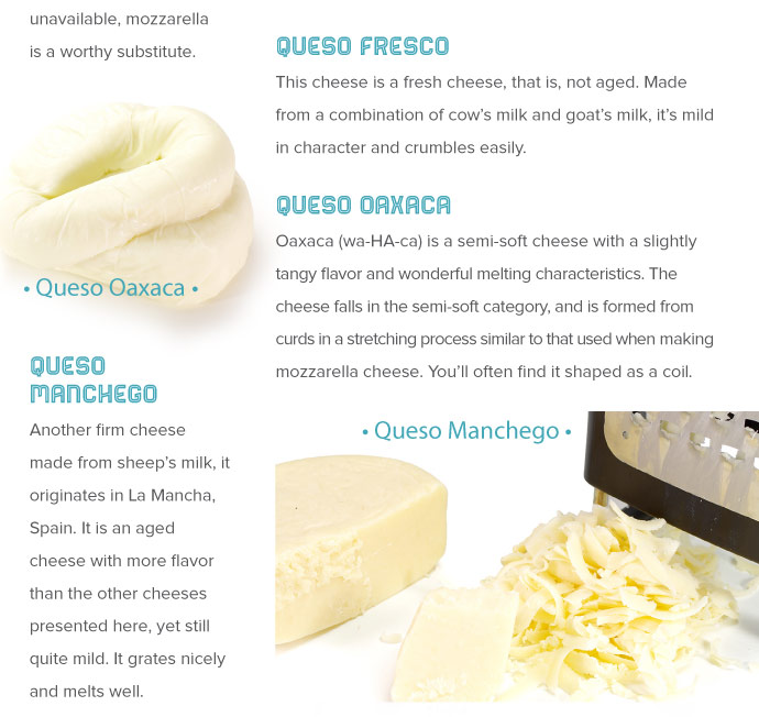 Queso Types