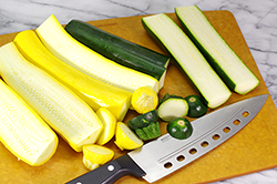 Cutting Squash