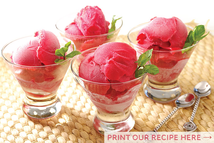 Raspberry Sorbet