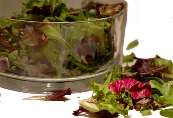 Salad Bowl