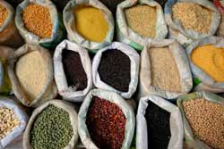 Bags of Grain