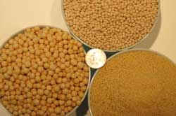 Three Couscous