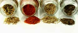 Four Jars of Spices