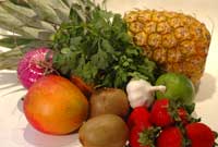 Ingredients Fruit Salsa