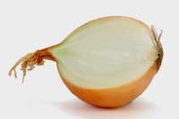 Onion Half