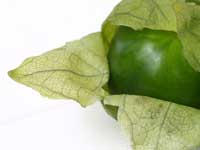 Tomatillo