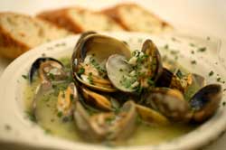 Clams in White Wine Sauce