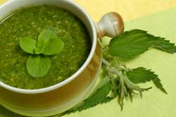 Green Soup