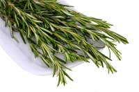 Rosemary