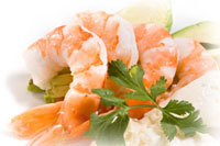 Shrimp