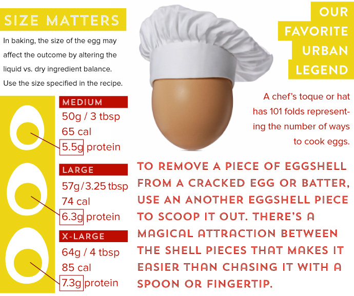 Egg Facts