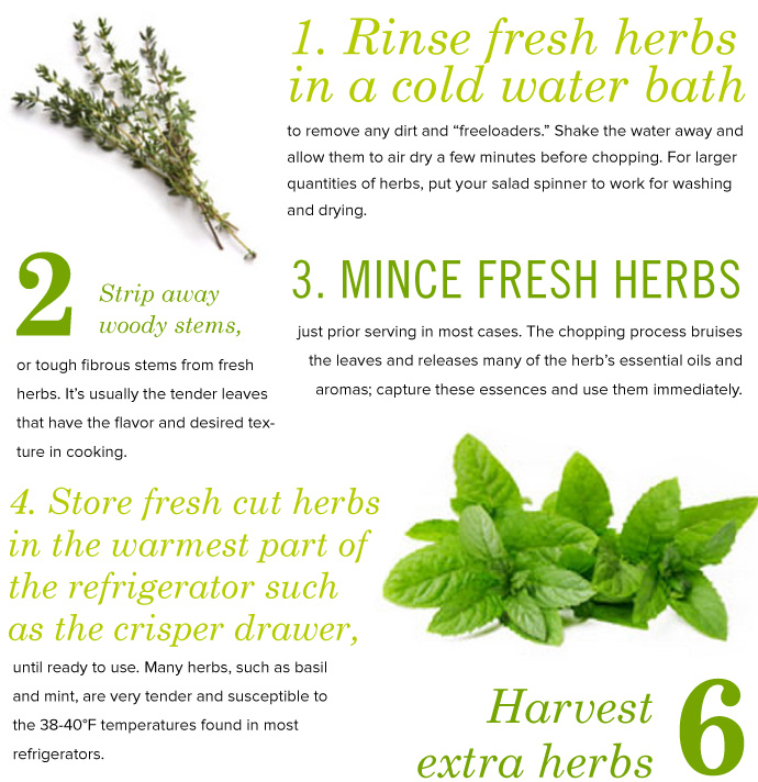 Fresh Herb TIps