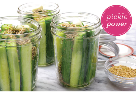Pickle Power