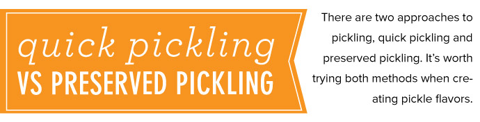 Quick Pickling vs Preserved Pickling