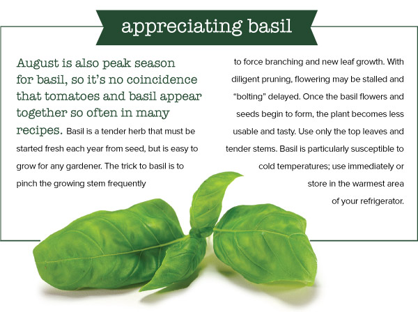 Appreciating Basil