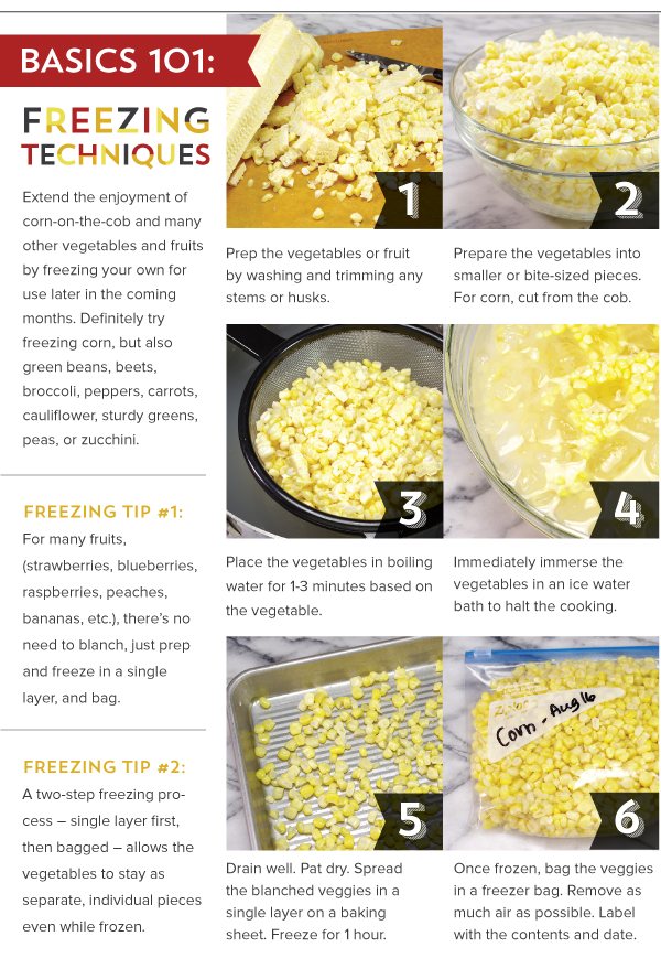 Basics 101 Freezing Techniques