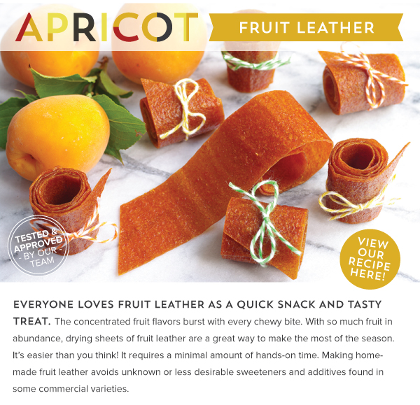 RECIPE: Apricot Fruit Leather