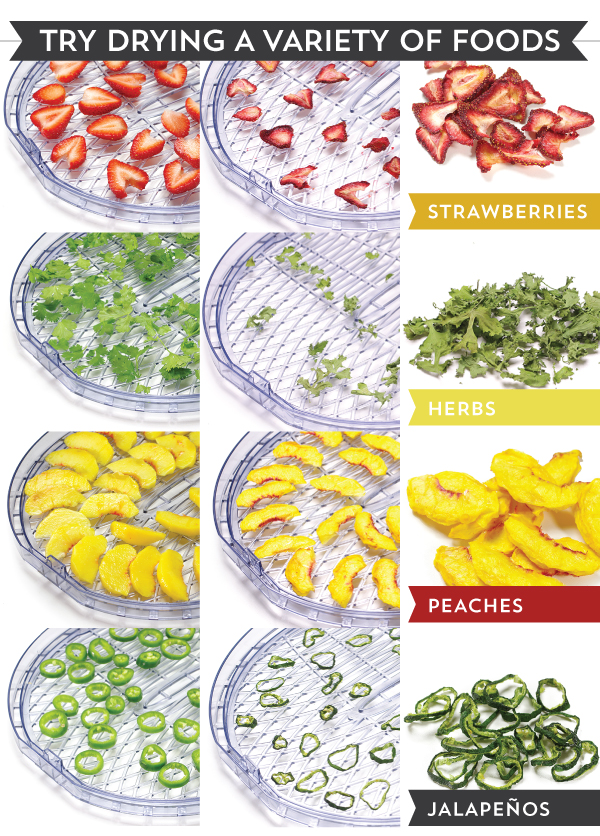 Try Drying a Variety of Foods