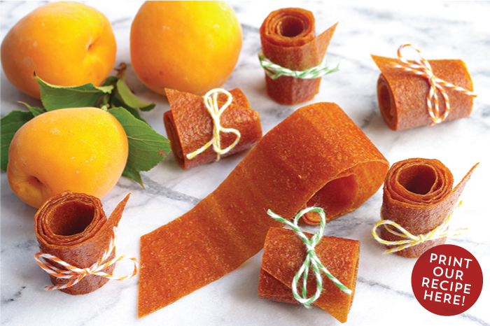 Apricot Fruit Leather