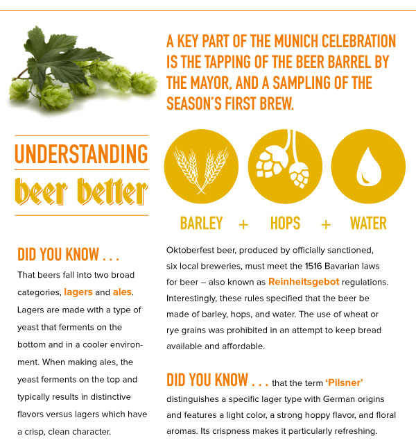 Understanding Better Beer