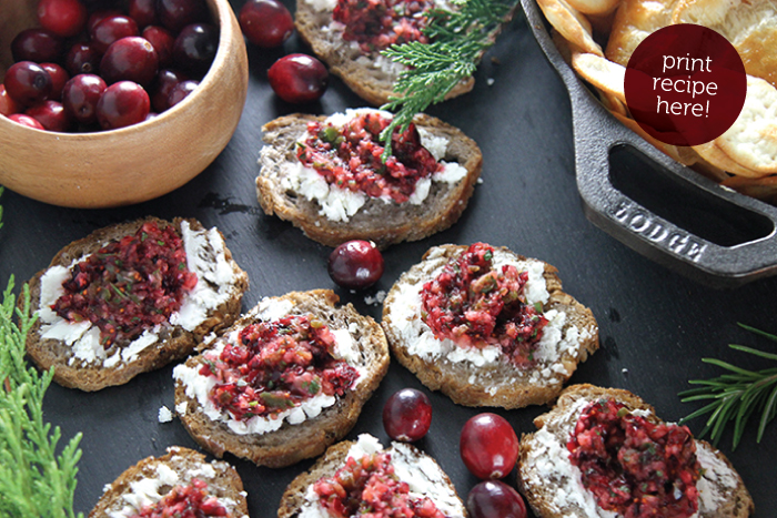 Cranberry Salsa