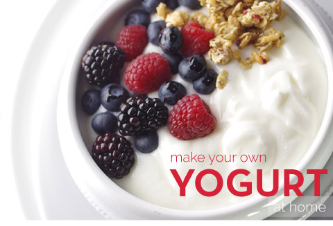 Fuel Up with Power Bowls