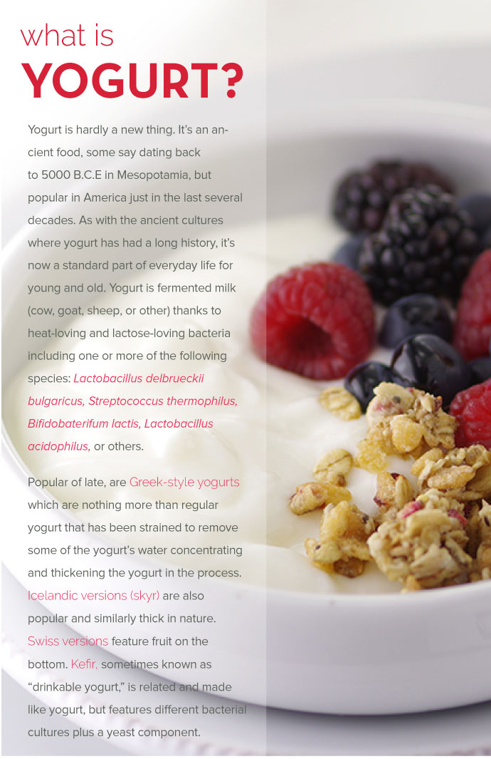 What is Yogurt