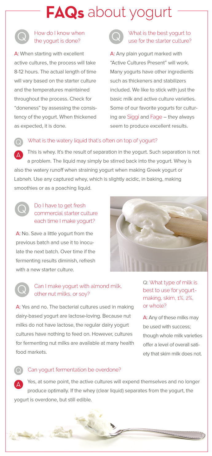 FAQs about Yogurt
