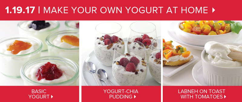 Make Your Own Yogurt