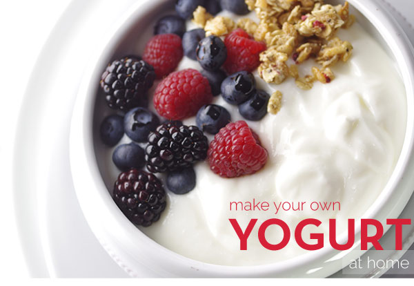 Make Your Own Yogurt at Home