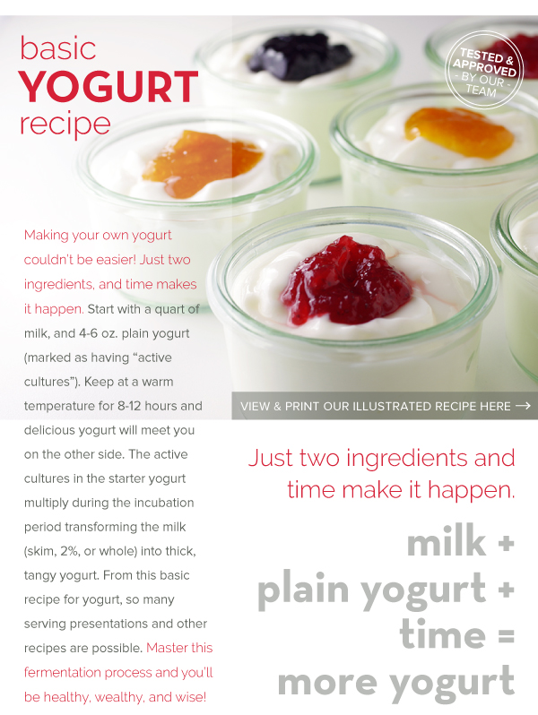 RECIPE: Basic Yogurt Recipe