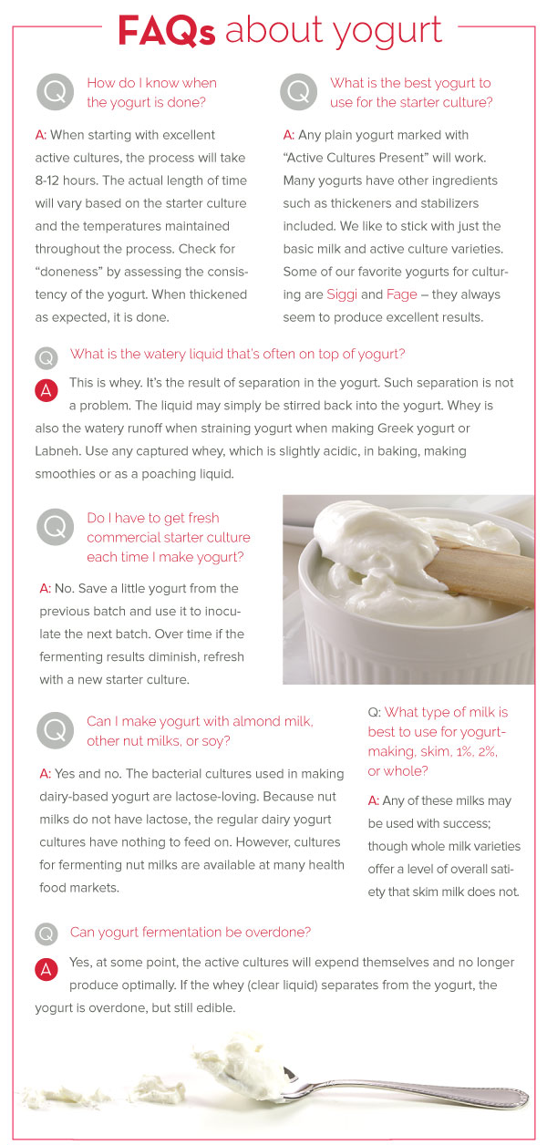 FAQ about Yogurt